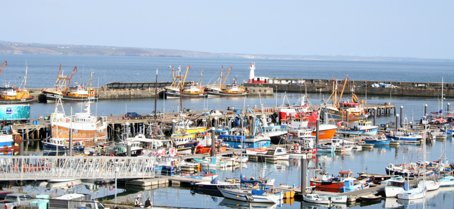 View of Newlyn Harbour from the balcony of Port View
